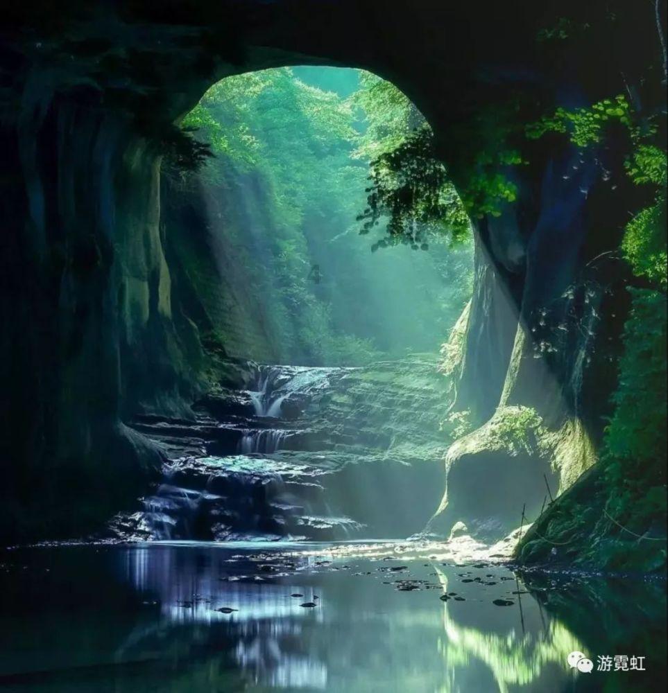 拯救可爱袋鼠
