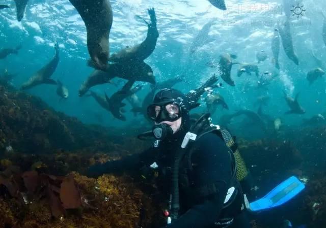 海南实体经济提振向好 全年高技术制造业、装备制造业增加值分别增长8.3%和18.6%