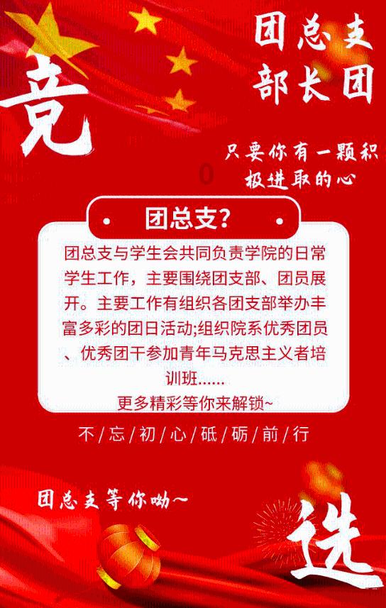 娃娃鱼养生酒价格多少?—探索更多乐趣